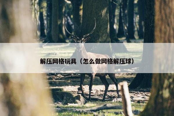 解压网格玩具（怎么做网格解压球）