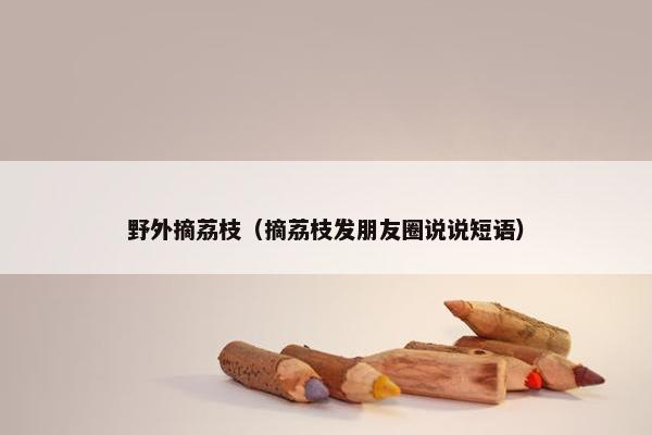 野外摘荔枝（摘荔枝发朋友圈说说短语）