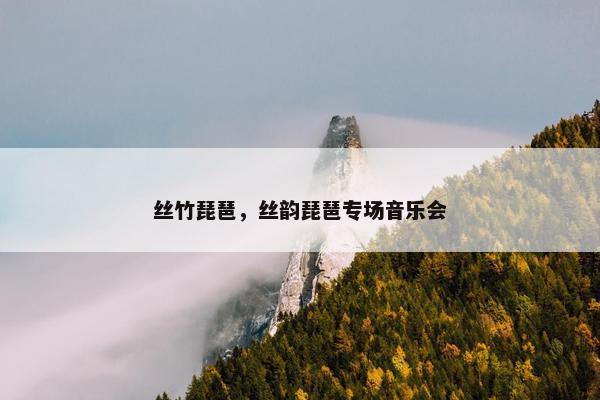 丝竹琵琶，丝韵琵琶专场音乐会
