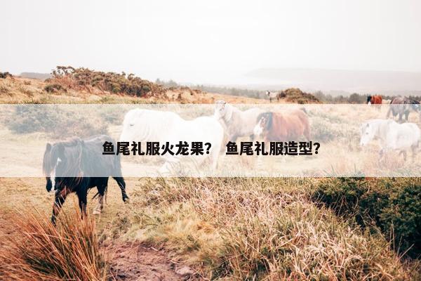 鱼尾礼服火龙果？ 鱼尾礼服造型？