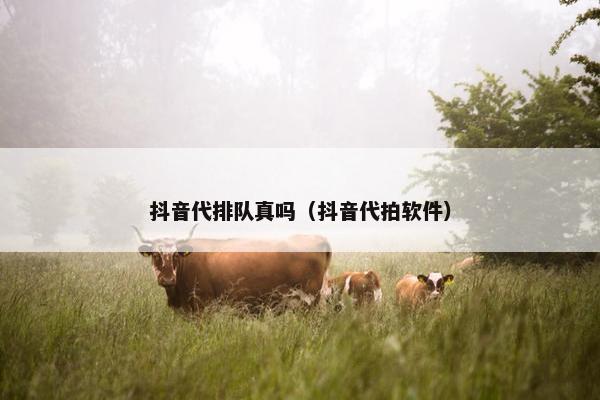 抖音代排队真吗（抖音代拍软件）