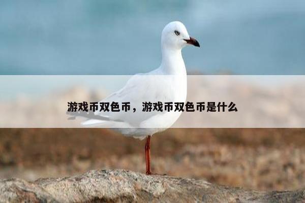 游戏币双色币，游戏币双色币是什么