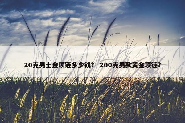 20克男士金项链多少钱？ 200克男款黄金项链？