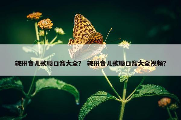 辣拼音儿歌顺口溜大全？ 辣拼音儿歌顺口溜大全视频？