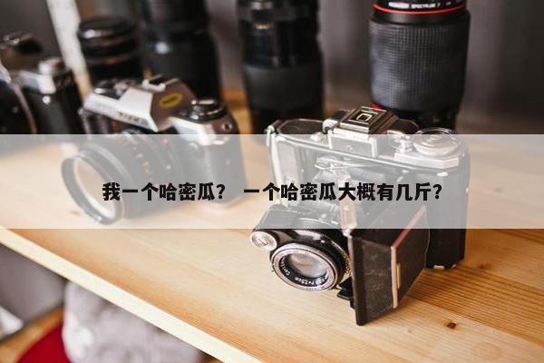 我一个哈密瓜？ 一个哈密瓜大概有几斤？