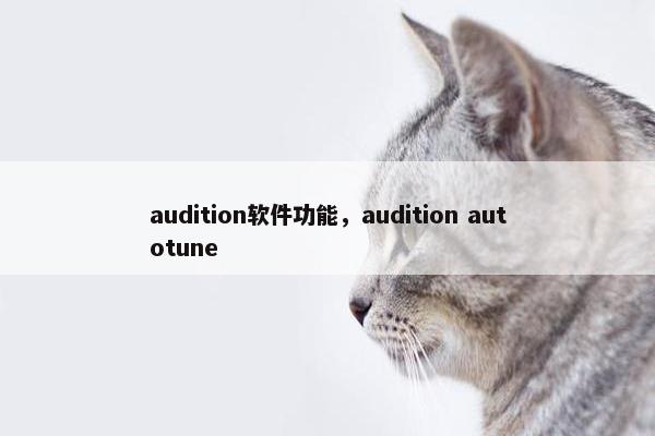 audition软件功能，audition autotune