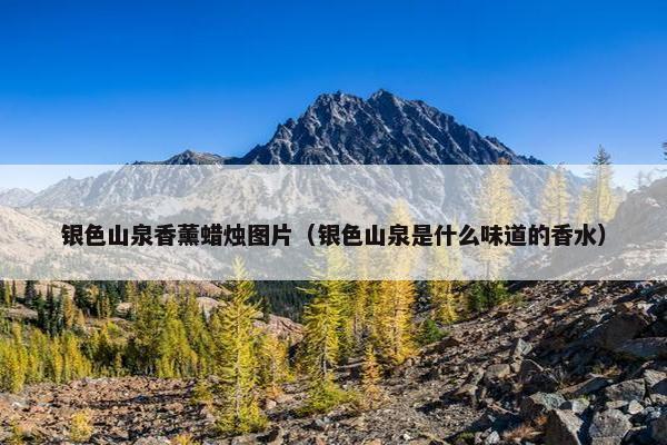 银色山泉香薰蜡烛图片（银色山泉是什么味道的香水）