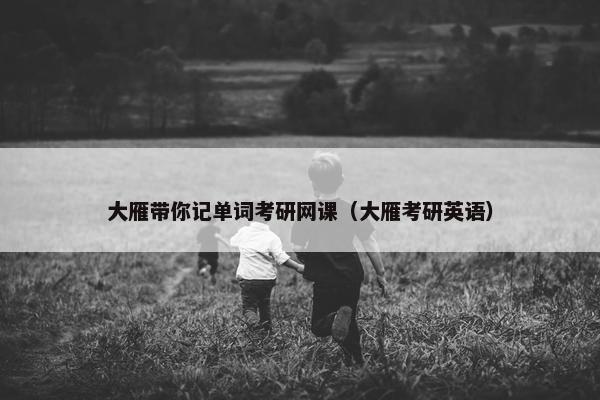 大雁带你记单词考研网课（大雁考研英语）
