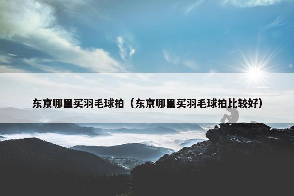 东京哪里买羽毛球拍（东京哪里买羽毛球拍比较好）