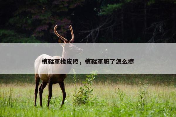 植鞣革橡皮擦，植鞣革脏了怎么擦
