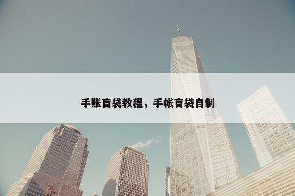 手账盲袋教程，手帐盲袋自制