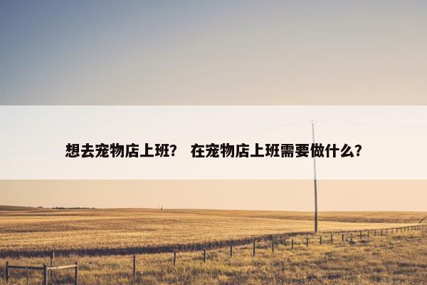 想去宠物店上班？ 在宠物店上班需要做什么？