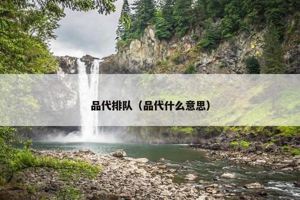 品代排队（品代什么意思）