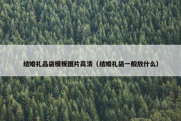 结婚礼品袋模板图片高清（结婚礼袋一般放什么）