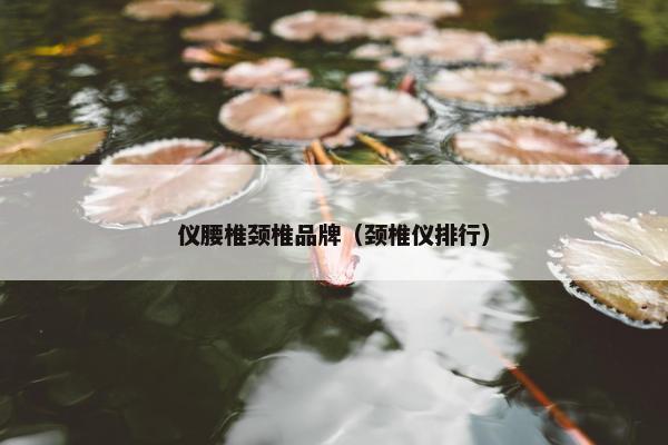 仪腰椎颈椎品牌（颈椎仪排行）