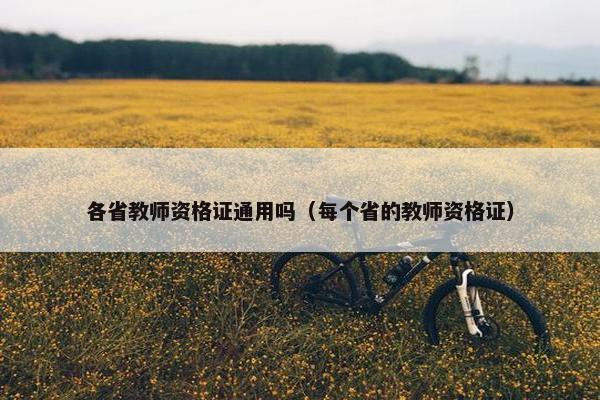 各省教师资格证通用吗（每个省的教师资格证）