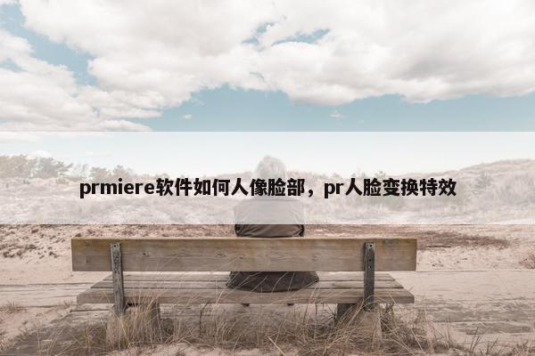prmiere软件如何人像脸部，pr人脸变换特效
