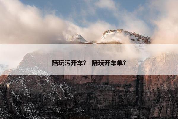陪玩污开车？ 陪玩开车单？