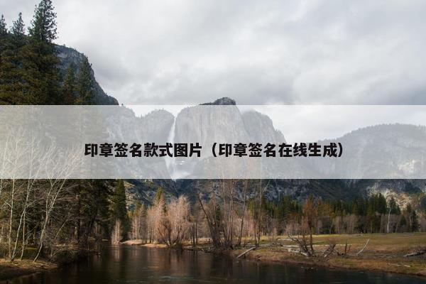 印章签名款式图片（印章签名在线生成）