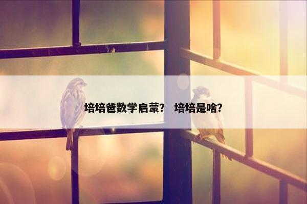 培培爸数学启蒙？ 培培是啥？