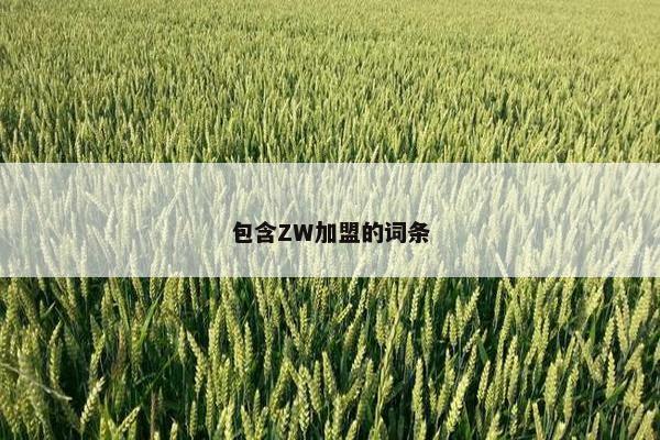 包含ZW加盟的词条