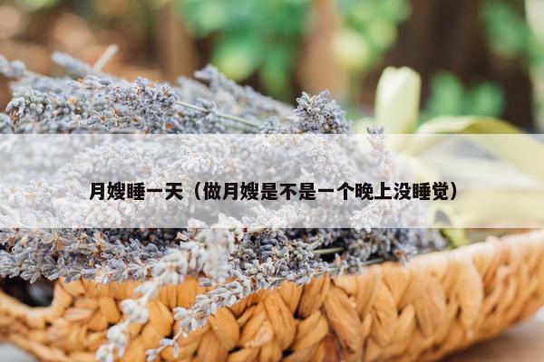 月嫂睡一天（做月嫂是不是一个晚上没睡觉）