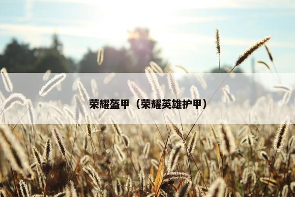 荣耀盔甲（荣耀英雄护甲）