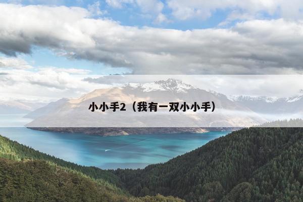 小小手2（我有一双小小手）