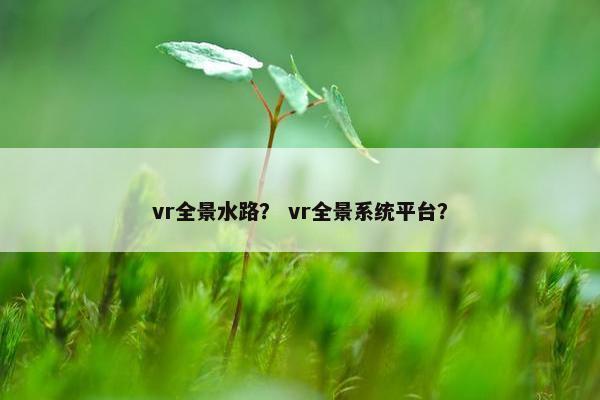 vr全景水路？ vr全景系统平台？
