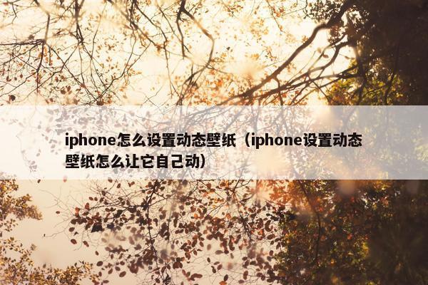 iphone怎么设置动态壁纸（iphone设置动态壁纸怎么让它自己动）