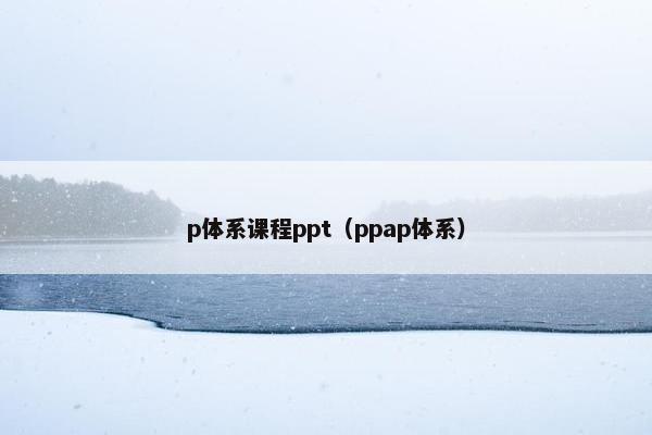 p体系课程ppt（ppap体系）