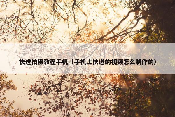 快进拍摄教程手机（手机上快进的视频怎么制作的）