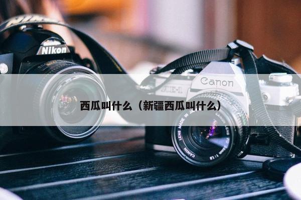 西瓜叫什么（新疆西瓜叫什么）