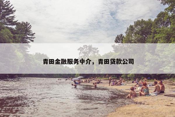 青田金融服务中介，青田贷款公司