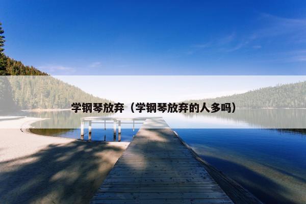 学钢琴放弃（学钢琴放弃的人多吗）