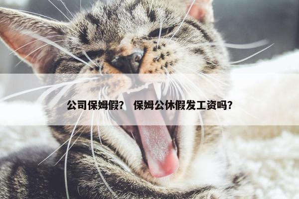 公司保姆假？ 保姆公休假发工资吗？