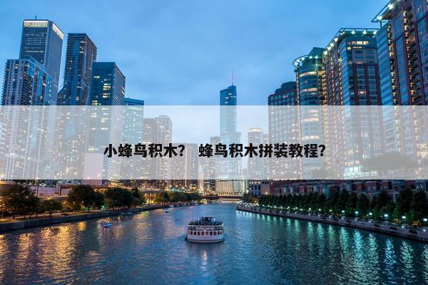 小蜂鸟积木？ 蜂鸟积木拼装教程？