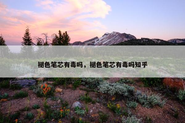 褪色笔芯有毒吗，褪色笔芯有毒吗知乎