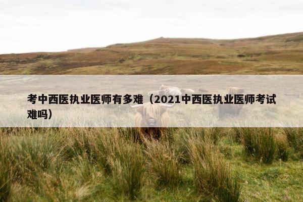 考中西医执业医师有多难（2021中西医执业医师考试难吗）