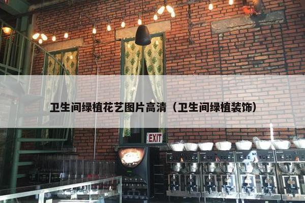 卫生间绿植花艺图片高清（卫生间绿植装饰）
