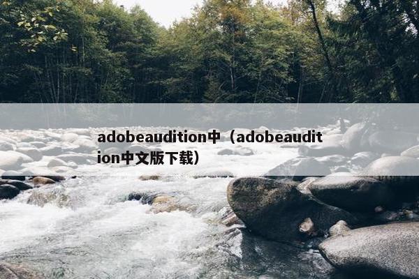 adobeaudition中（adobeaudition中文版下载）