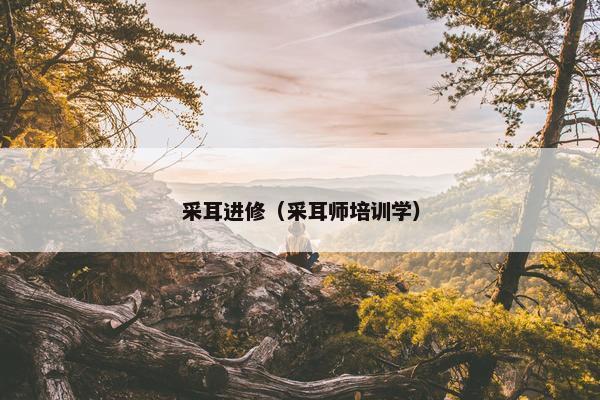 采耳进修（采耳师培训学）