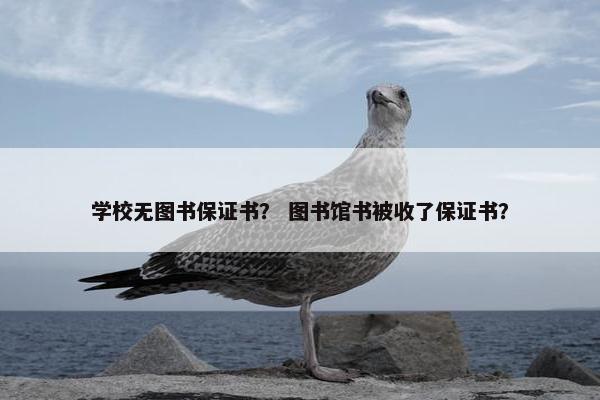 学校无图书保证书？ 图书馆书被收了保证书？