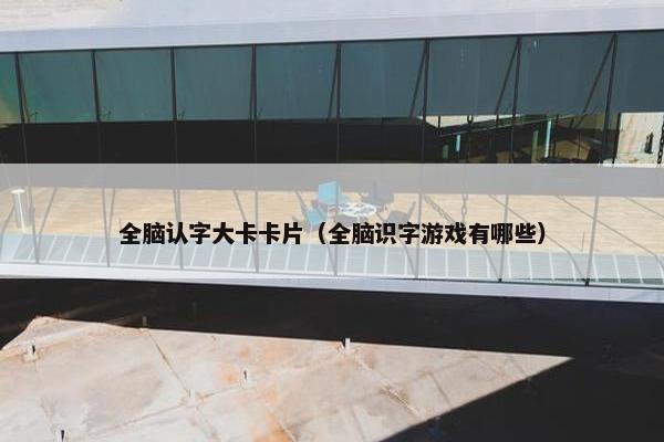 全脑认字大卡卡片（全脑识字游戏有哪些）