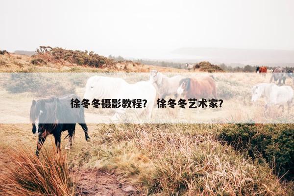 徐冬冬摄影教程？ 徐冬冬艺术家？