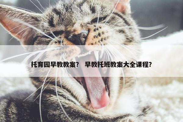 托育园早教教案？ 早教托班教案大全课程？