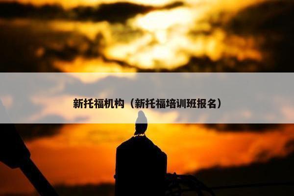 新托福机构（新托福培训班报名）