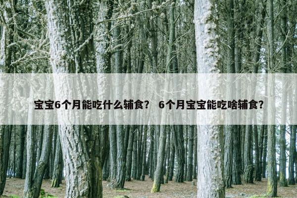 宝宝6个月能吃什么辅食？ 6个月宝宝能吃啥辅食？