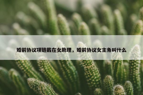 婚前协议项链戴在女助理，婚前协议女主角叫什么