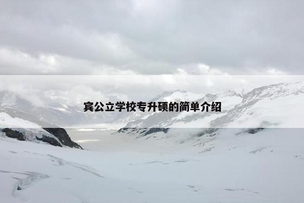 宾公立学校专升硕的简单介绍